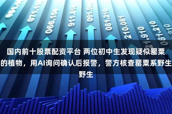 国内前十股票配资平台 两位初中生发现疑似罂粟的植物，用AI询问确认后报警，警方核查罂粟系野生